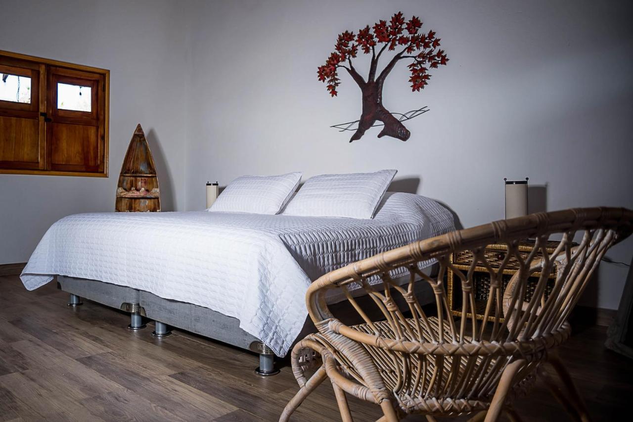 Eco Hotel Nativo Juan de Acosta Ngoại thất bức ảnh