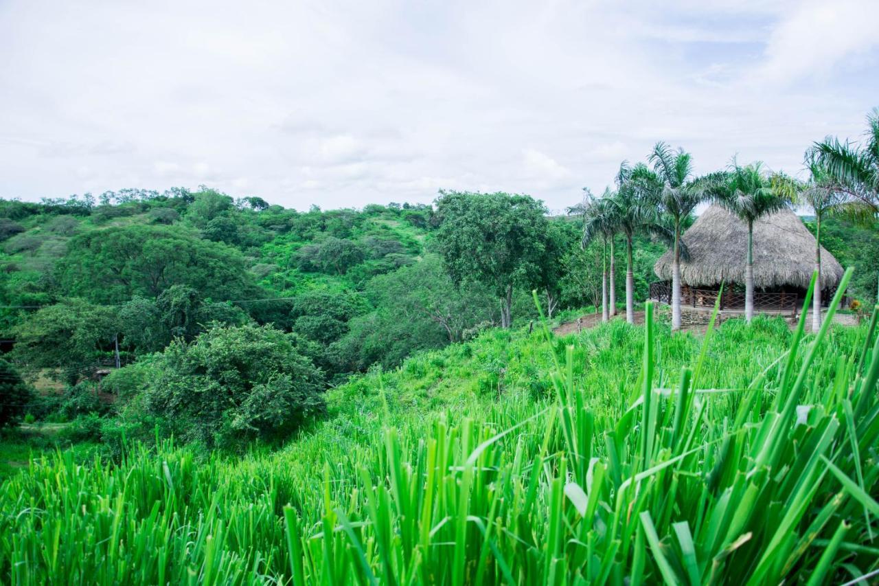 Eco Hotel Nativo Juan de Acosta Ngoại thất bức ảnh